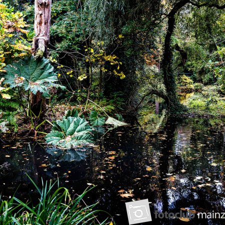 2025 Hombroich &amp; Düsseldorf - Arndt Schlüter: &quot;Im Park&quot;